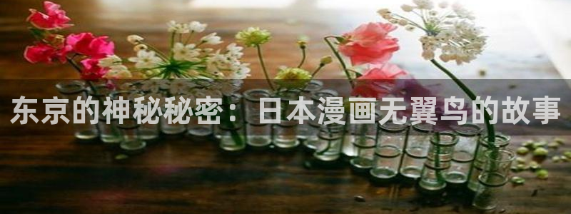 酷漫屋下载：东京的神秘秘密：日本漫画无翼鸟的故事