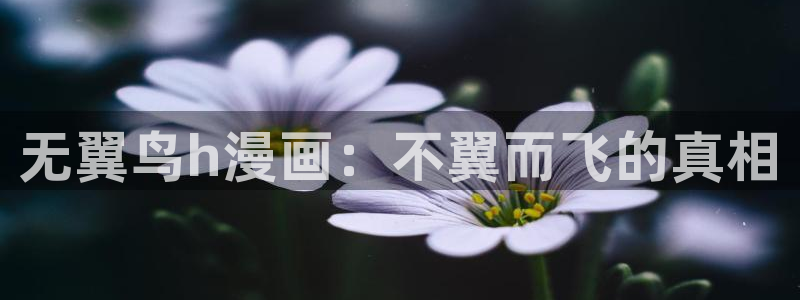 酷漫屋app下载